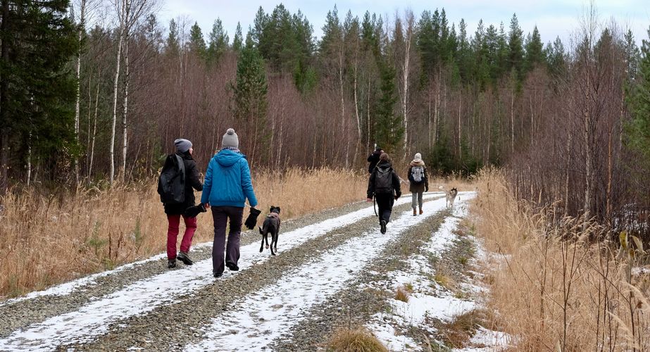 Groepsvakanties Lapland najaar